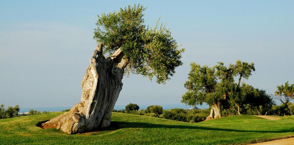 Albergo Masseria Refrigerio Ostuni Luaran gambar